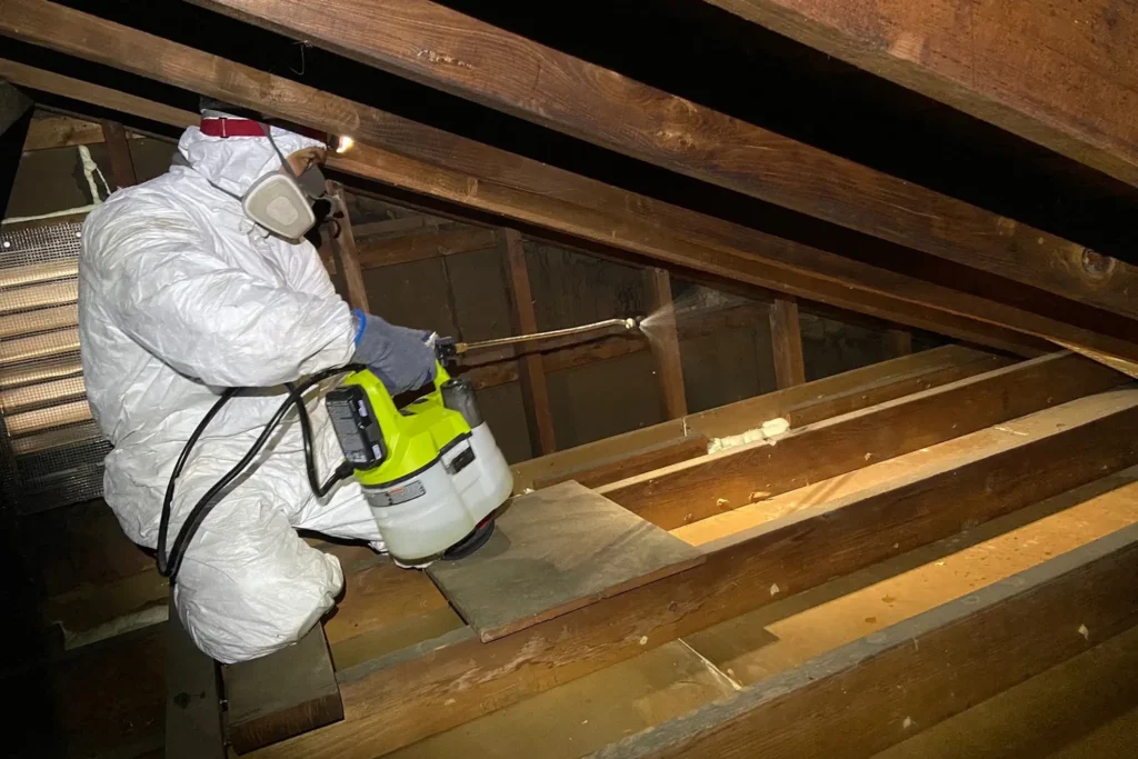 Attic sanitizing – Attic Sanitization & Cleanup