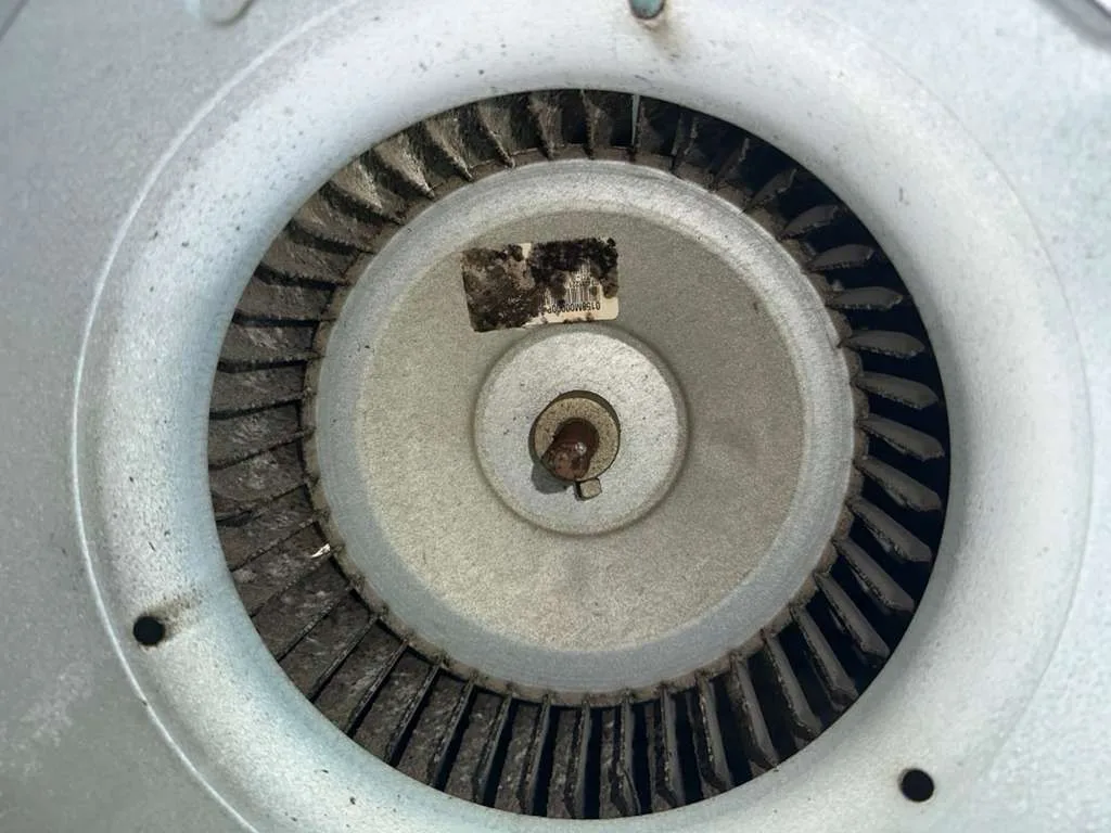Blower wheel inside its housing with dust built up on the blades
