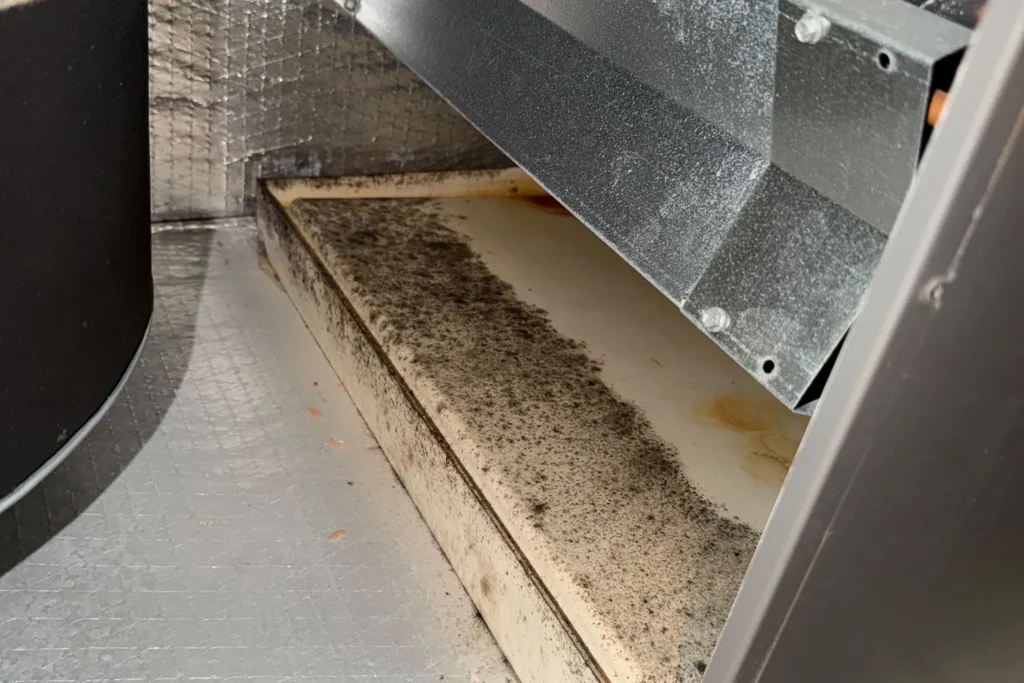 Drain pan under the coil – AC Evaporator Coil Cleaning