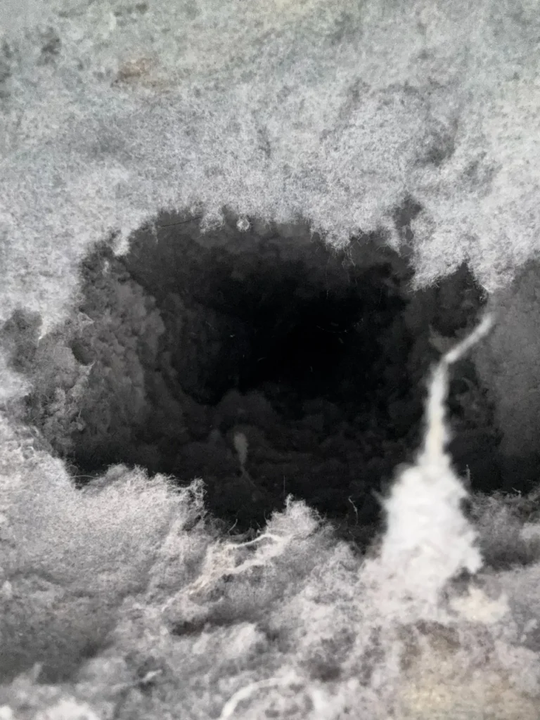 Dryer vent clogged with lint