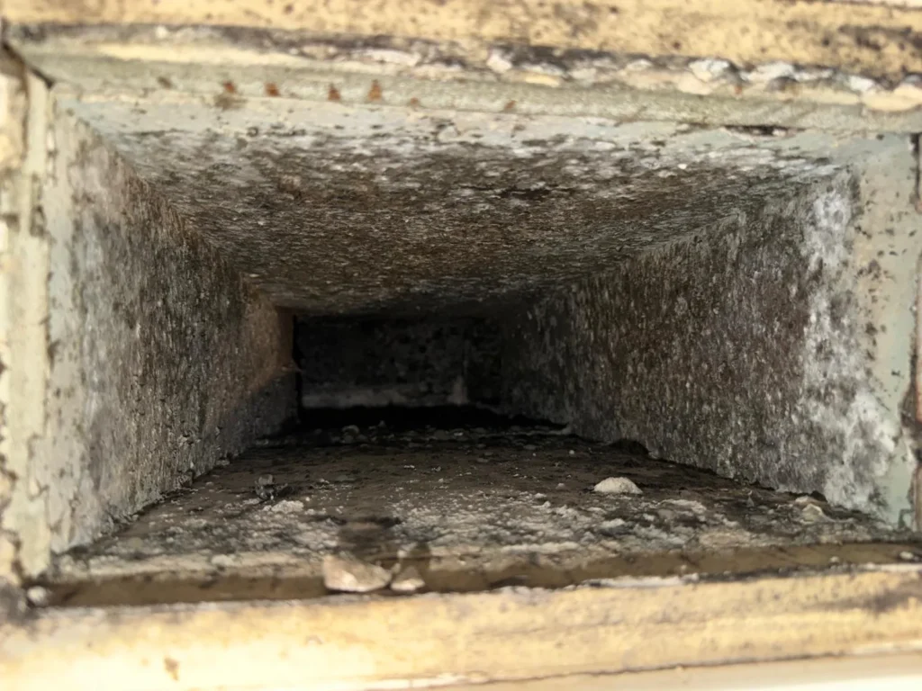 Dust and debris inside a sheet metal supply trunk before air duct cleaning