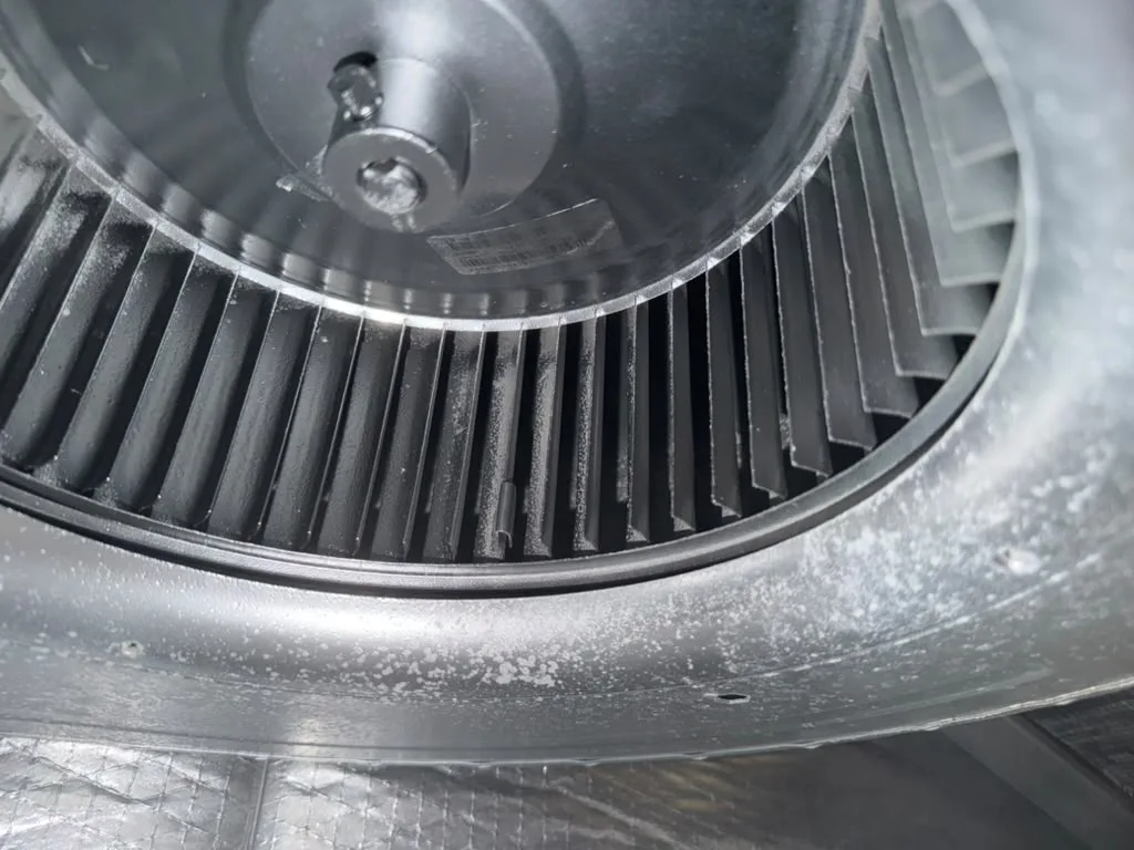 Dust caked on the blades of an HVAC blower wheel before cleaning