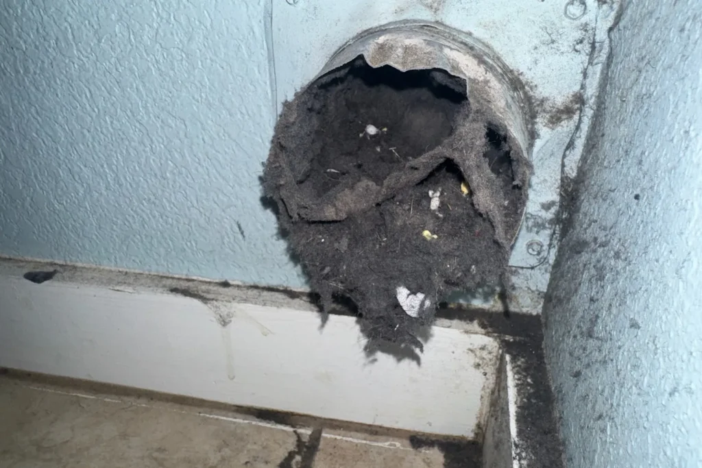 Exterior dryer vent clogged with lint