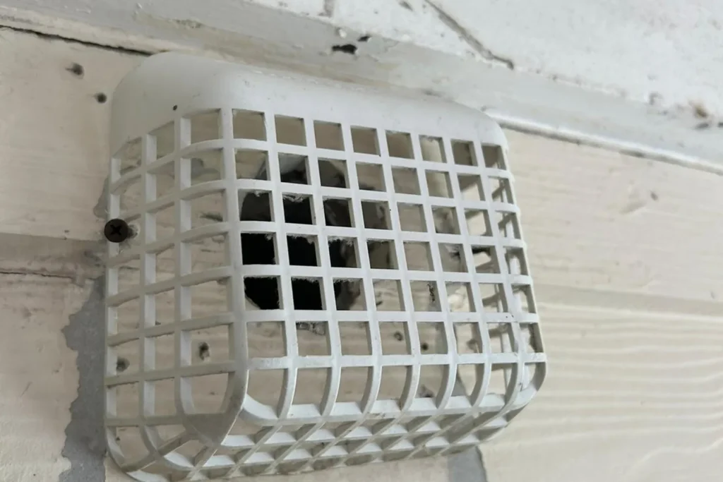 Exterior dryer vent cover with a guard on a home