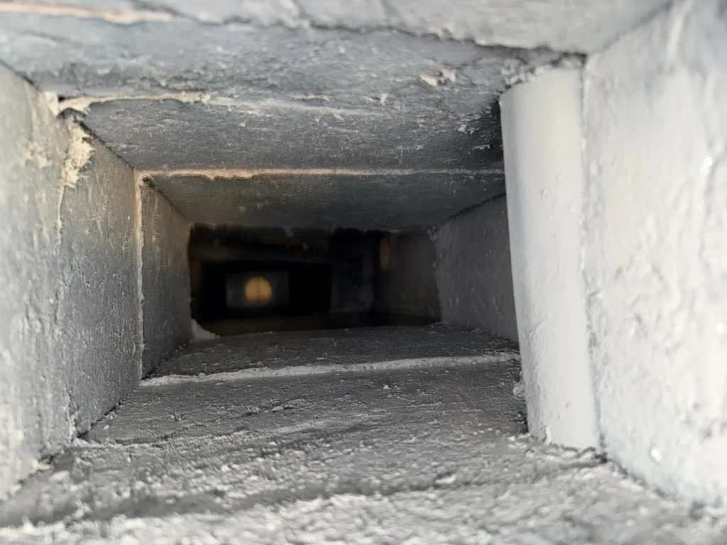 Inside a supply trunk in an Austin home