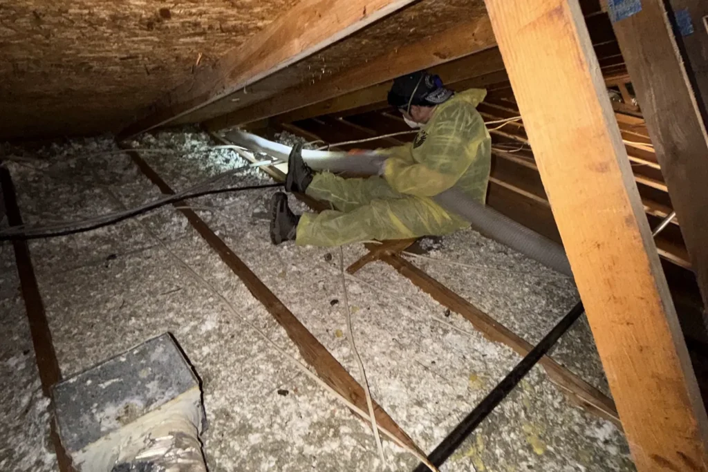 Insulation removal – Attic Insulation Removal