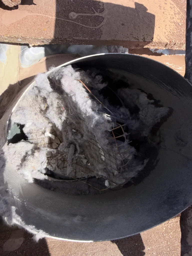 Lint collected under a rooftop dryer vent cap