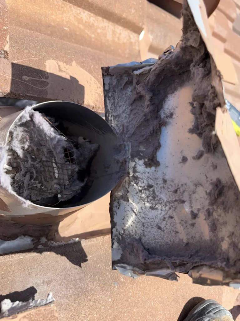 Lint removed from a roof-mounted dryer vent