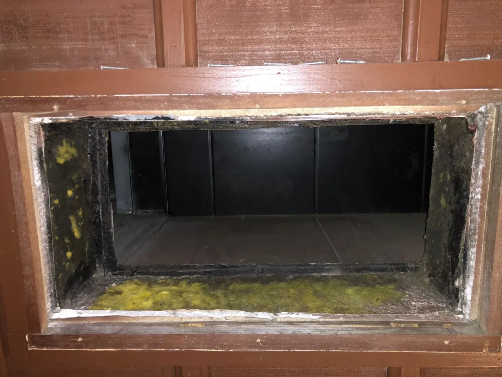 Return plenum with visible growth along the bottom